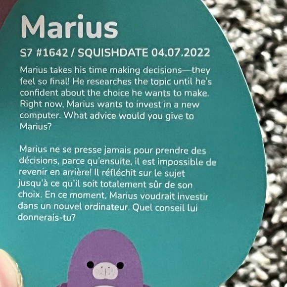 Squishmallows Lavender Seal Plush - Picture 6 of 6